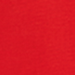 RL 2000 Red