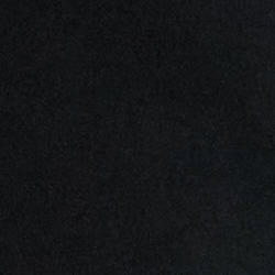 Polo Black