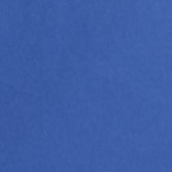 Blue/Purple