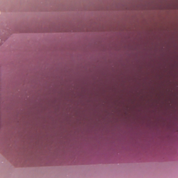 Gold/Purple