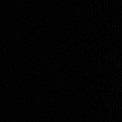 Polo Black