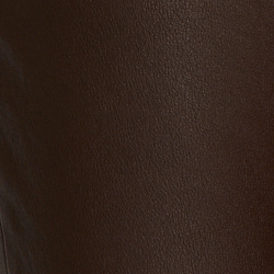 Circuit Brown
