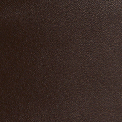 Circuit Brown