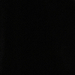 Polo Black