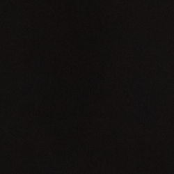Polo Black