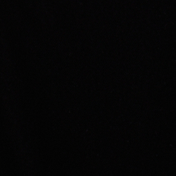 Polo Black