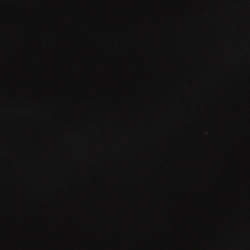 Polo Black