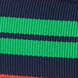Navy/Orange/Green
