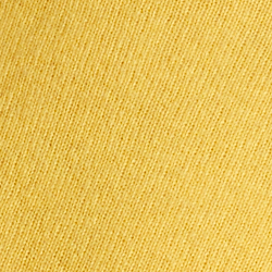 Slicker Yellow
