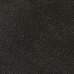 Company Olive
