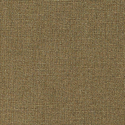 Canopy Olive