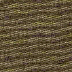 Canopy Olive