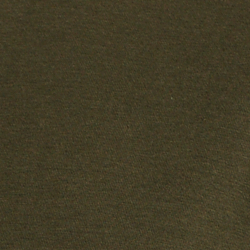 Company Olive/Nevis Logo