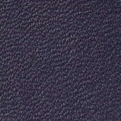 Navy/mehrfarbig Bear