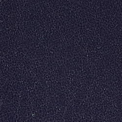 Navy/Multi Bear