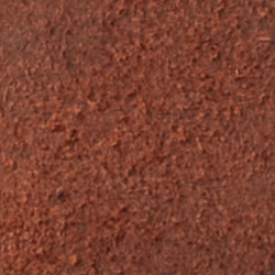 Polo Tan