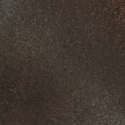 Chocolate Brown