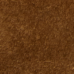Polo Tan