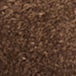 Chocolate Brown