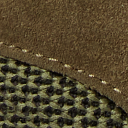 Canopy Olive
