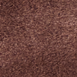 Chestnut/Chestnut
