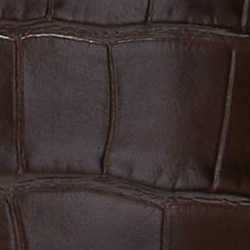 Chestnut Brown