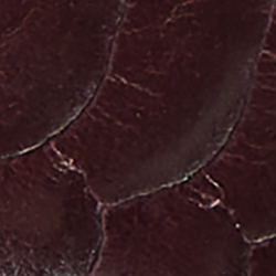 Garnet