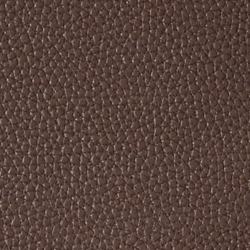 Chestnut Brown
