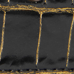 Black/Gold/Black