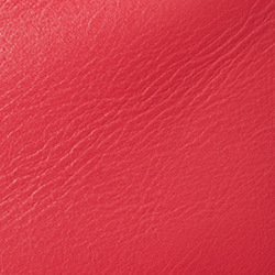 Rl2000 Red