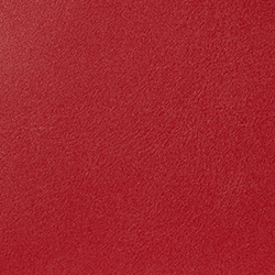Rl2000 Red