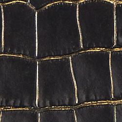 Black/Gold