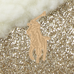Gold Glitter W/ Cream Pp