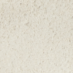Cream Suede