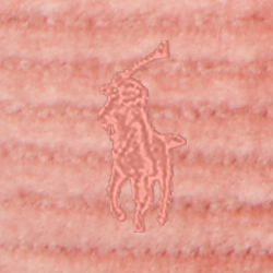 Rose Corduory W/ Rose Pp
