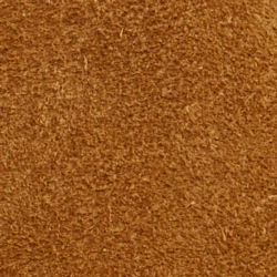 Pale Russet