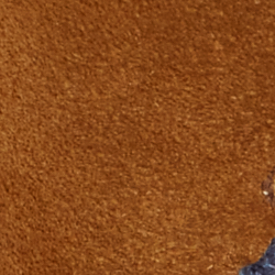 Pale Russet