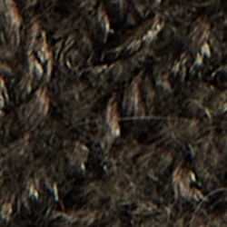 Dark Loden