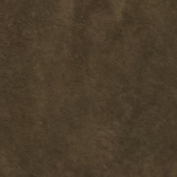 Dark Loden