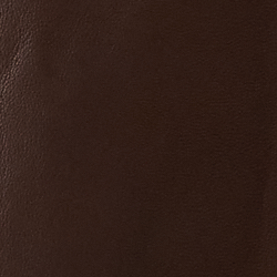 Burnished Brown