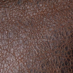 Burnished Brown