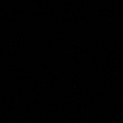 Dark Forest