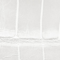 White/4n P