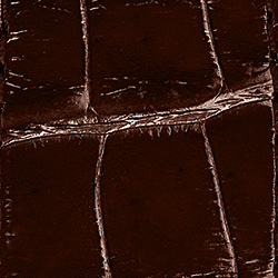 Brown/Black