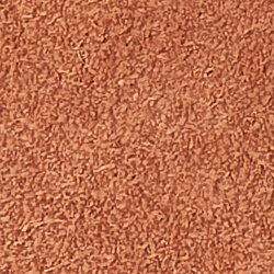 Teakholz