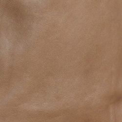 Beige Peninsula