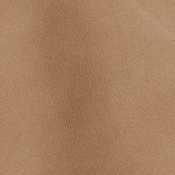 Beige Peninsula