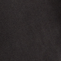 Polo Black