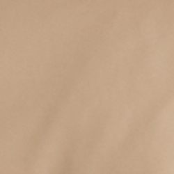 Light Sand