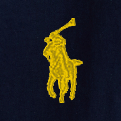Cruise Navy